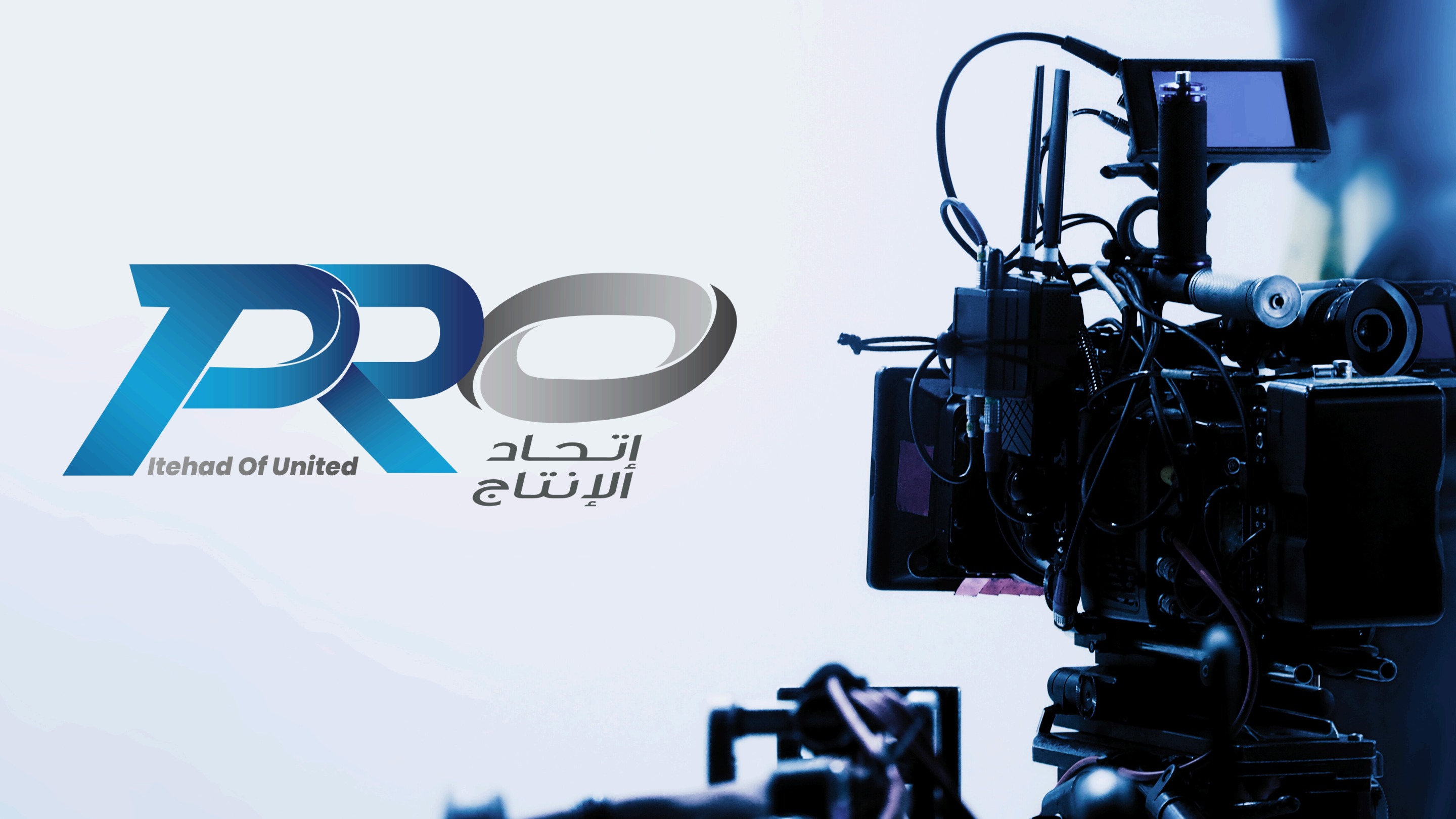 صفحة 1 من بروفايل PRO 2026